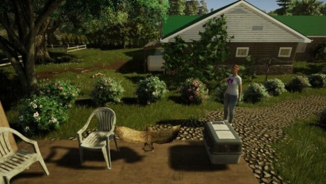 Animal Doctor PC Screenshot