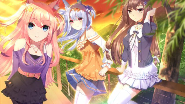 Fluffy Store PC Screenshot